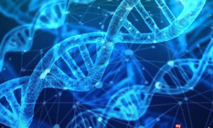 DNA Der genetische Code – alles vorbestimmt?
