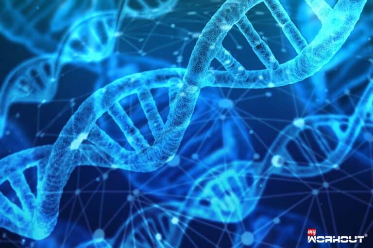 DNA Der genetische Code - alles vorbestimmt? DNA