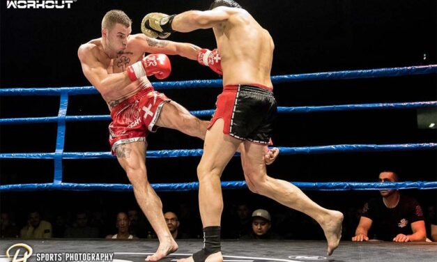 Vom K1-Champ zum Profi Boxer