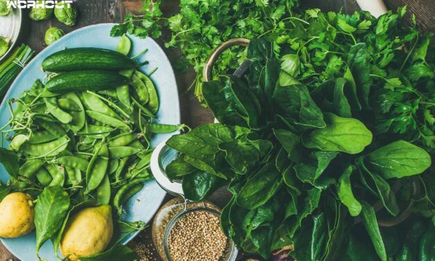 Die geheime Kraft der Bitterstoffe: Entdecke ihre gesundheitlichen Vorteile