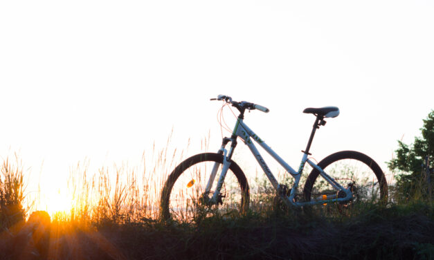 Wie Sie das perfekte Fahrrad online finden und kaufen