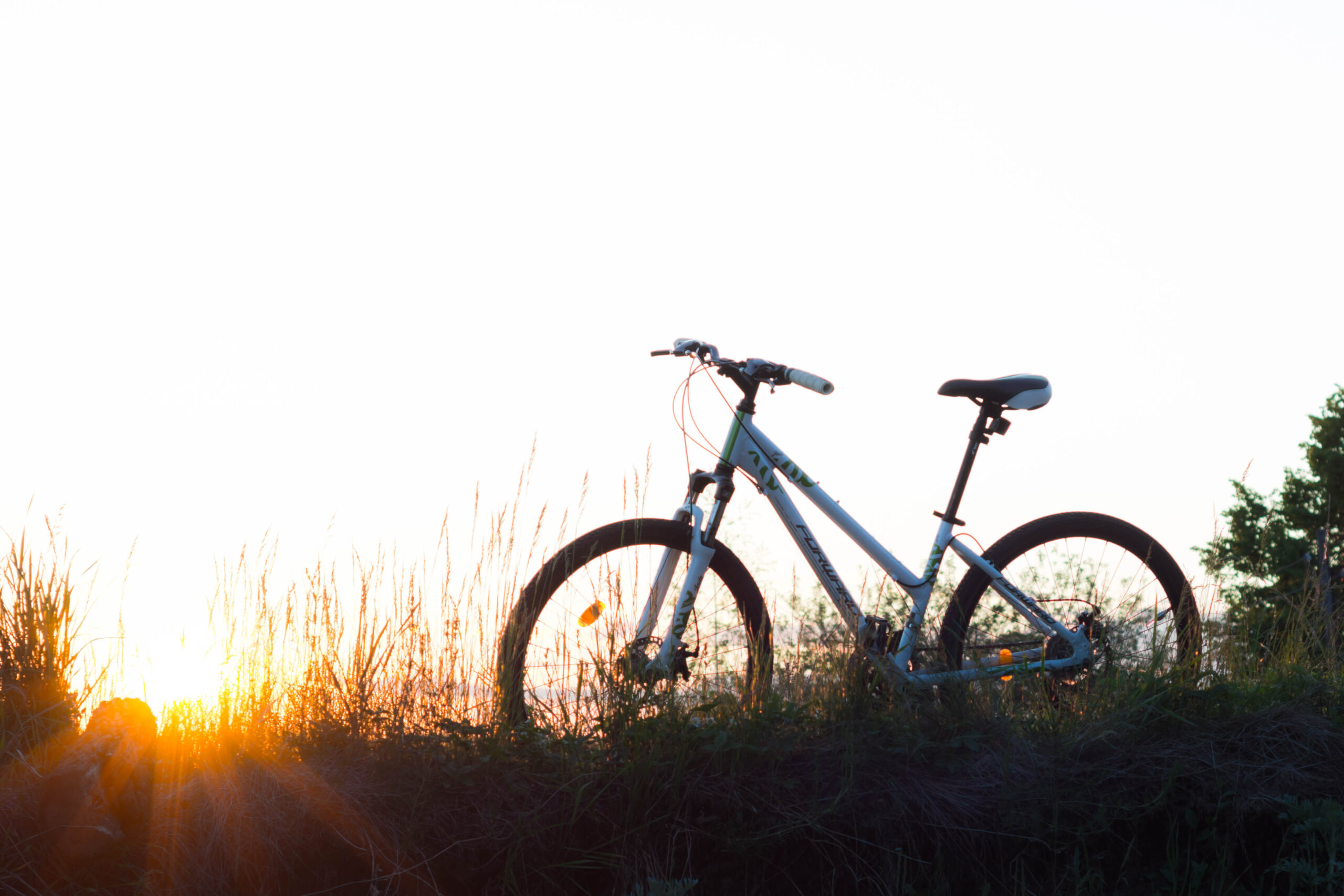 Fahrrad auf einer Wiese mit Sonnenlicht im Hintergrund.