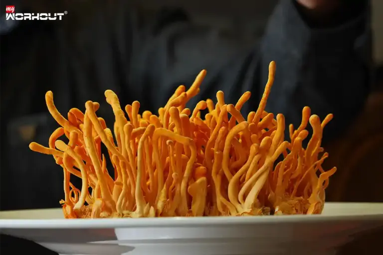 Die Kraft der Pilze: Ein Blick hinter ihre verborgenen Potenziale Cordyceps pilze
