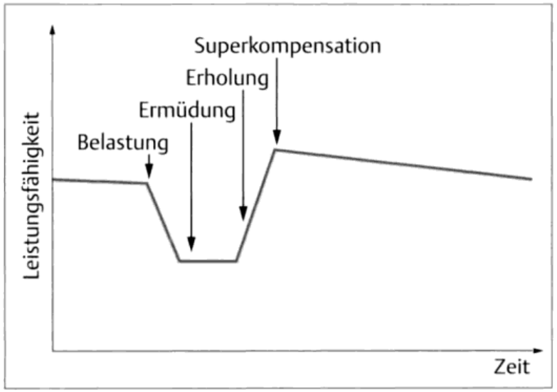 Grafik Superkompensation