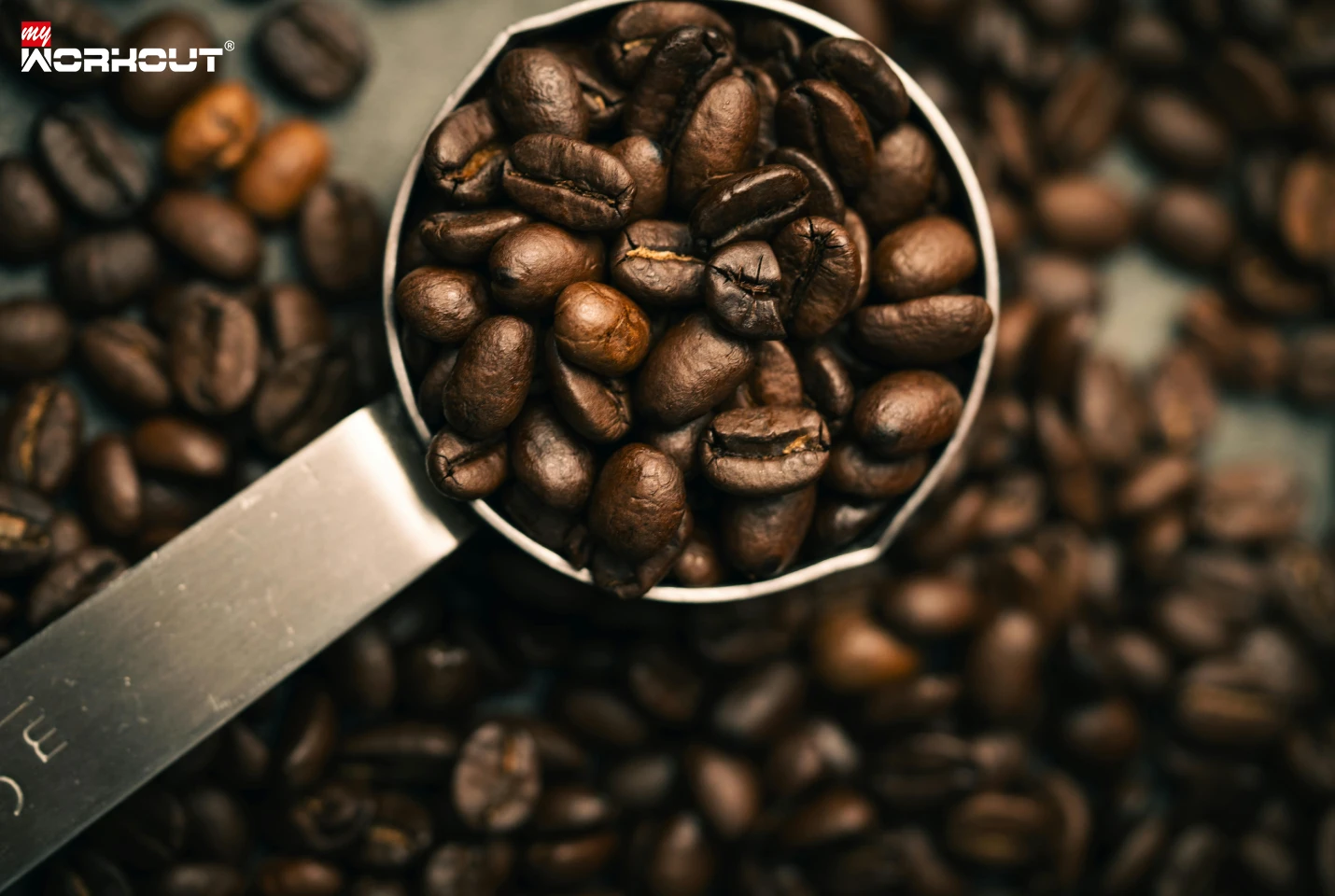 Ein Löffel voller Kaffeebohnen ist vor weiteren Kaffeebohnen sichtbar 