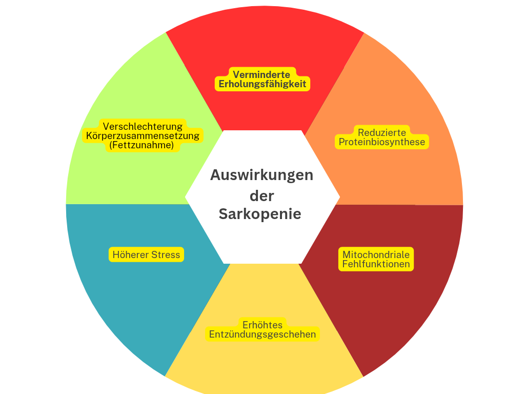 Visuelle Veranschaulichung der Symptome für Sarkopenie