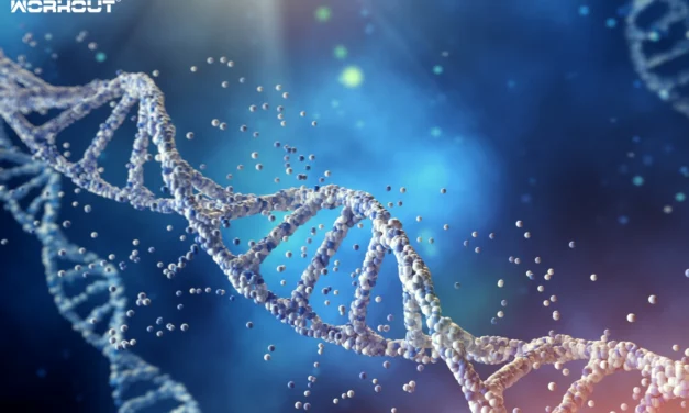 Verborgene Gen-Schalter: Die faszinierende Welt der Epigenetik