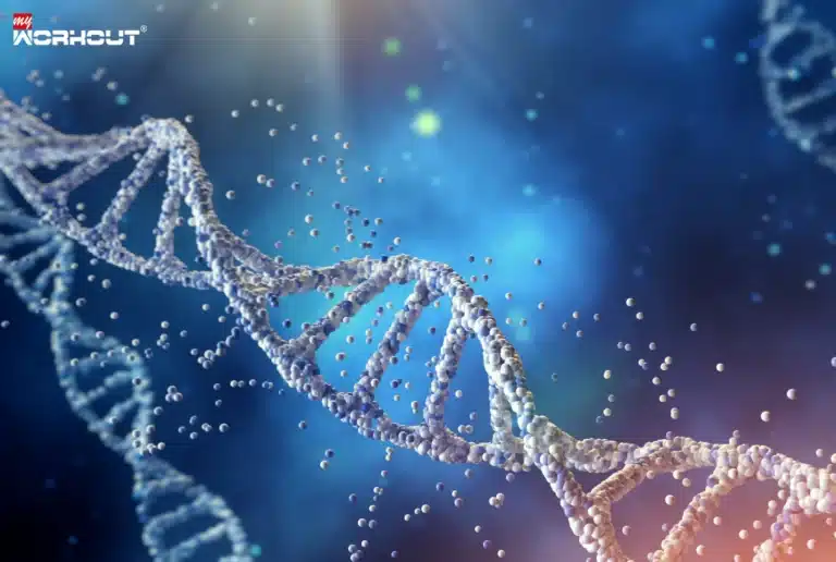 Verborgene Gen-Schalter: Die faszinierende Welt der Epigenetik Man sieht mehrere DNA-Stränge