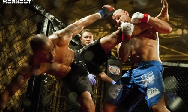 MMA (Mixed Martial Arts) lernen – Vom Anfänger ins Oktagon