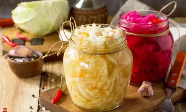 Fermentierte Lebensmittel für Sportler: Bessere Darmgesundheit & mehr Leistung?
