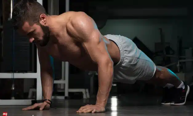 Ganzkörpertraining für maximalen Muskelaufbau und Fettverbrennung
