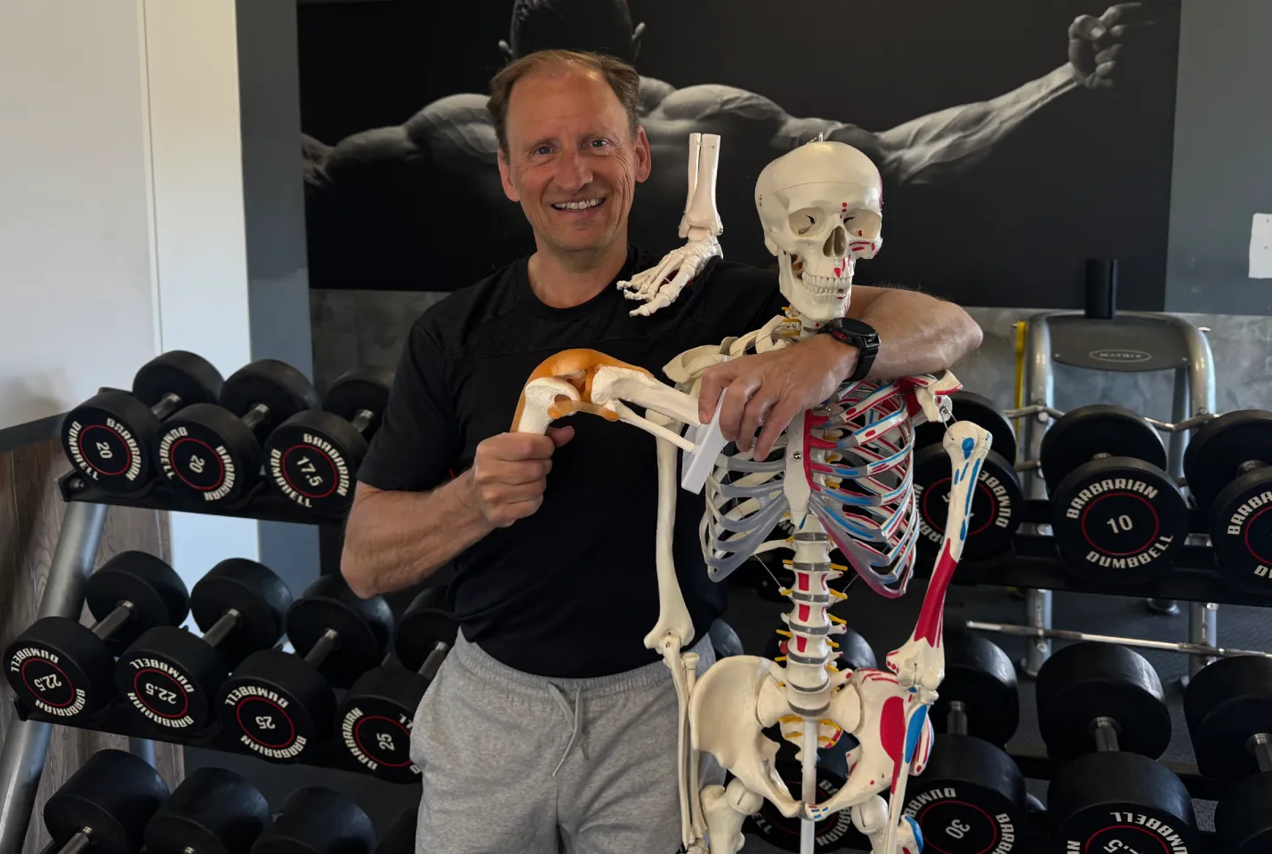 Körper als System: Muskeln, Sehnen, Knochen, Gelenke, das Herz-Kreislauf-System, das Lymphsystem und die Faszien